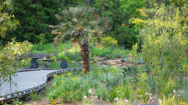 A view of the Garden for the Future